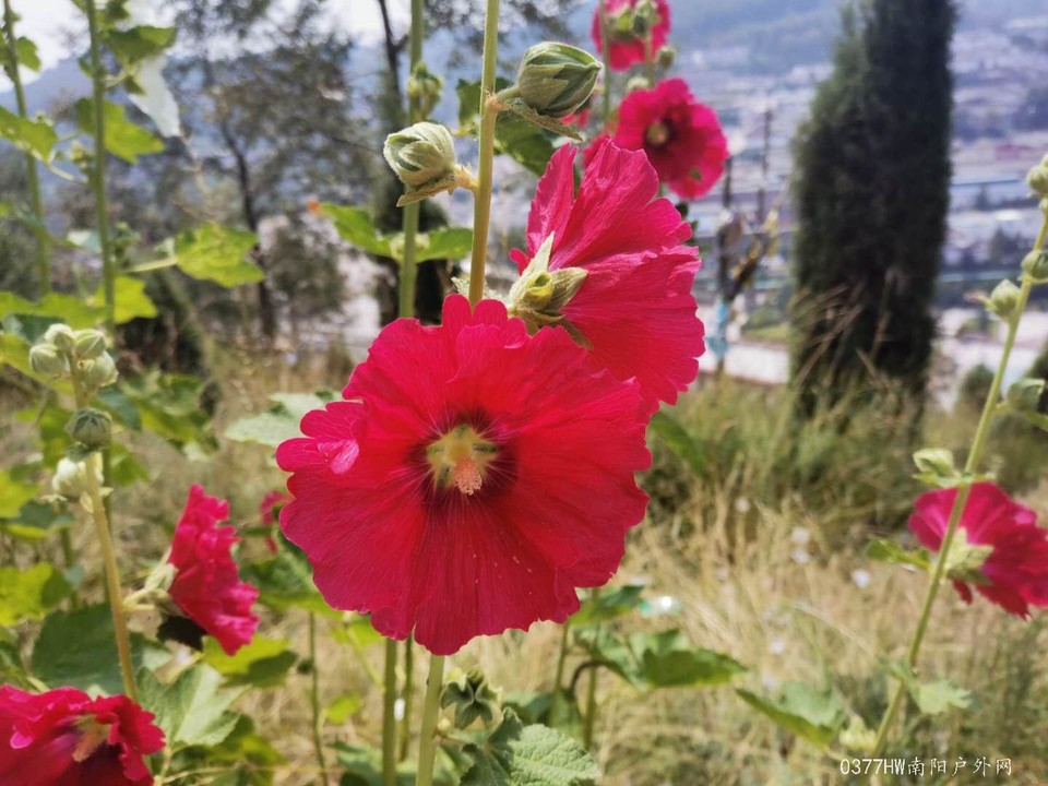 4eBQ---lSCpRRgcuzQlcd5aZO3sN4_uQzDaPXtG1AbV_OpWjOMt21Q0be9PKH-Dl