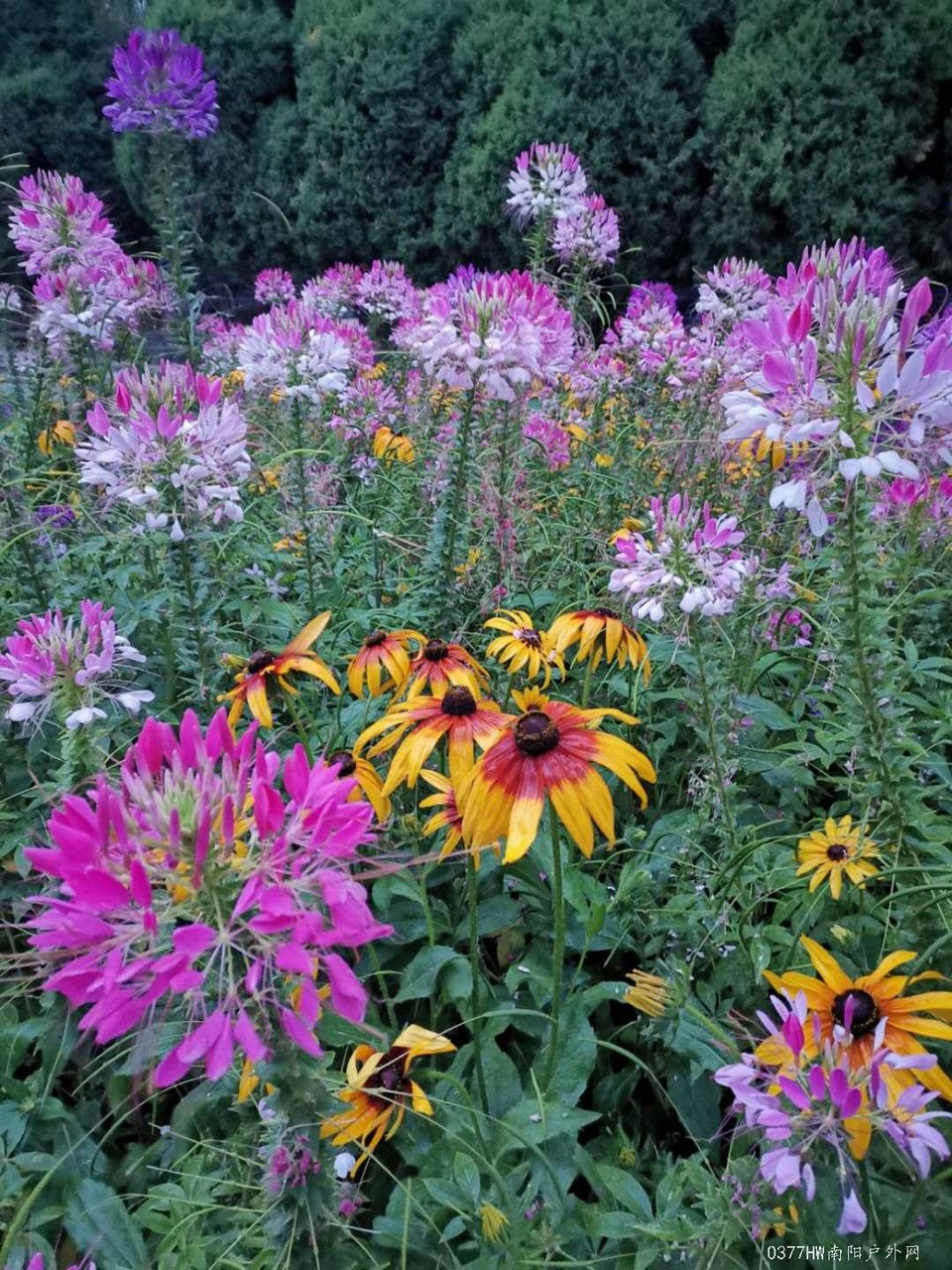 t34NN3W8Nu1Sy2riwMnBYMN0_fbSxJfKDLTqVWZ9qJXtS49LnEKYF6kL-vvhrWRE