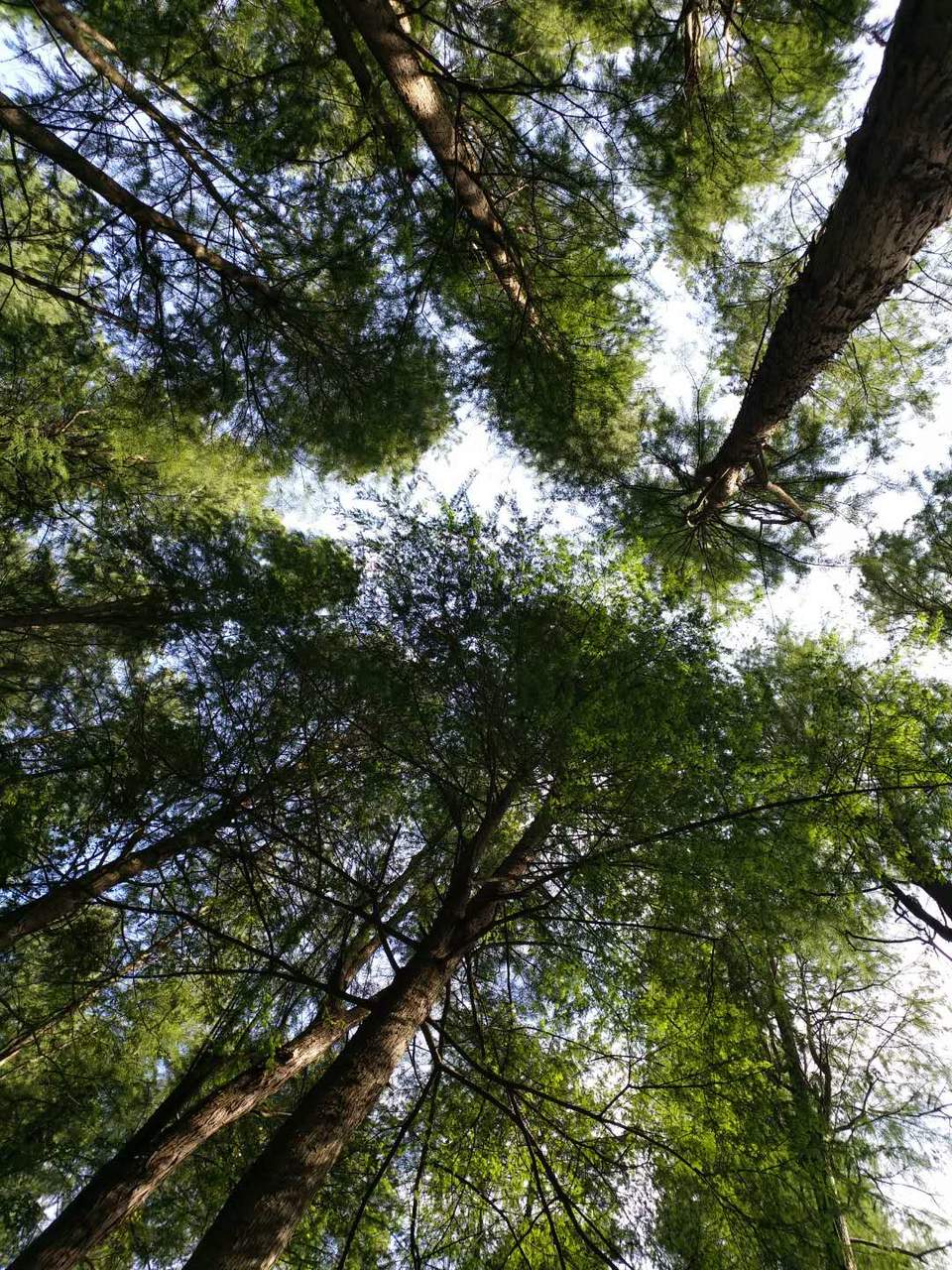 xTZhPRN8OAIFBb6yev0WC7X9ItMJchNz-6xajwiQqdaFkMmjjoCCun27zkF7N8Fg