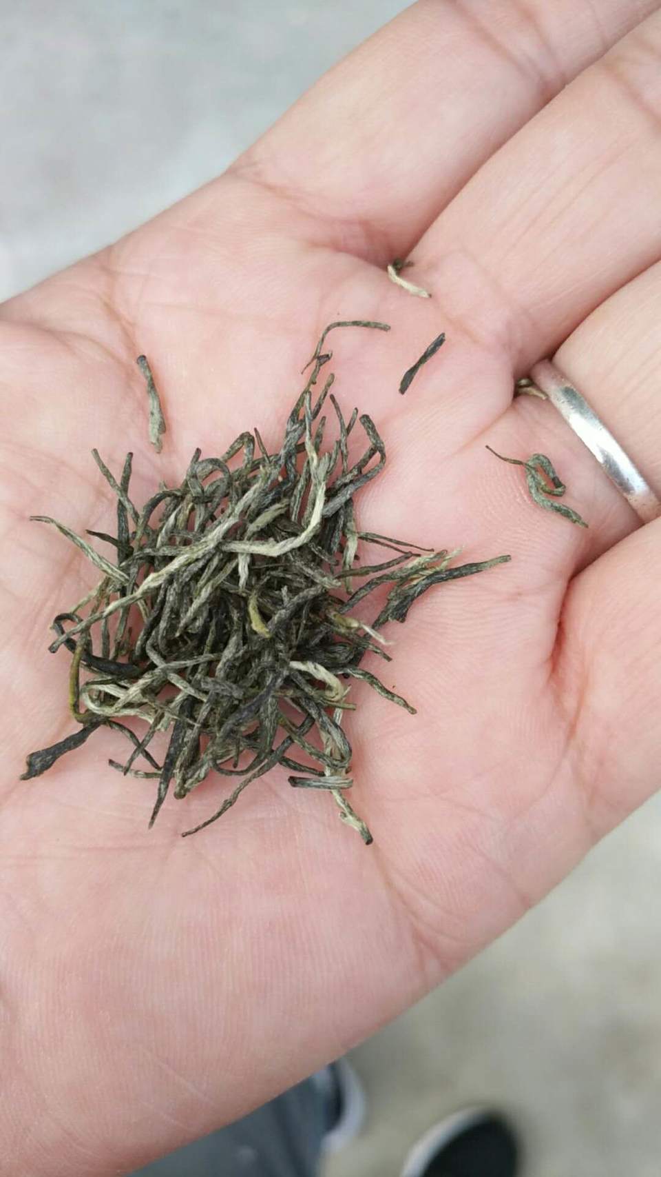 s2mnCPV_y7qAJknitCpYXEVmtwOQFhtE20-iFJdvANSJGXSqUL6Q09tGN5jQitzA