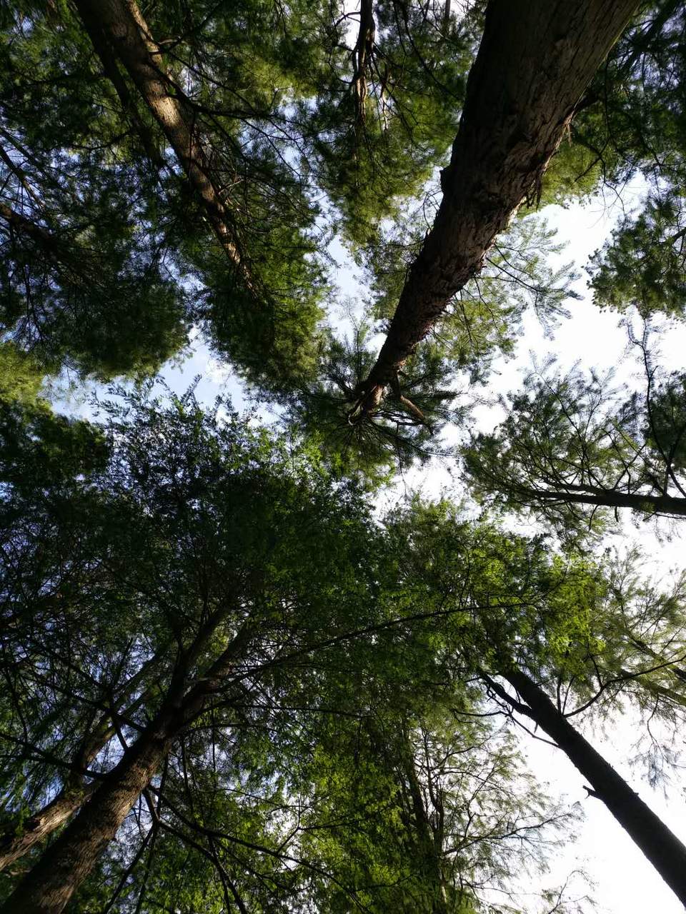 bN6Y_dJl1CJ8yhvCKVrZsZLODm-H-5ph3xzypt_fOfFtlX0HCEbjdNxP1Xc04DZi