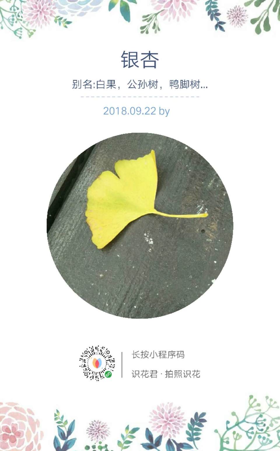 OkRE3e5YL-zvwoXD0p5BnAu3lxLvb57ttGyNsBMOn2wulqt_5S0KMAj2F8UN6V9J