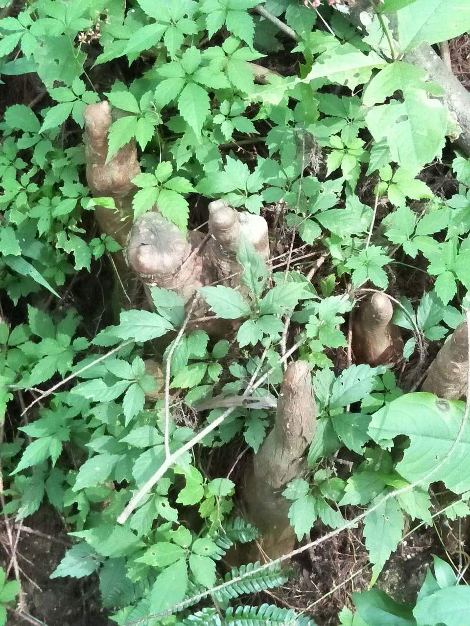 uOSC72j6pzCJwWx88iNYqYEfwc9j9c1jco9aFtW-Z2dOkOnCihoVtOZOPkVC44VS