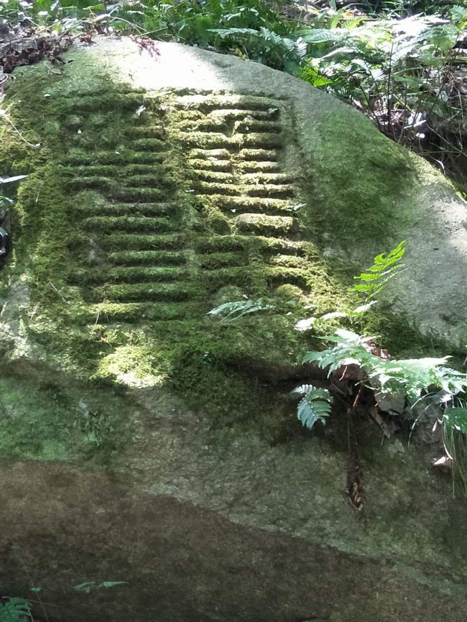 1baJB5u5oZ8x1dqbnbmzDHzXECuBKWbdOEWD-reYfQu9UENfiXBnZSKRCV8e_0nS