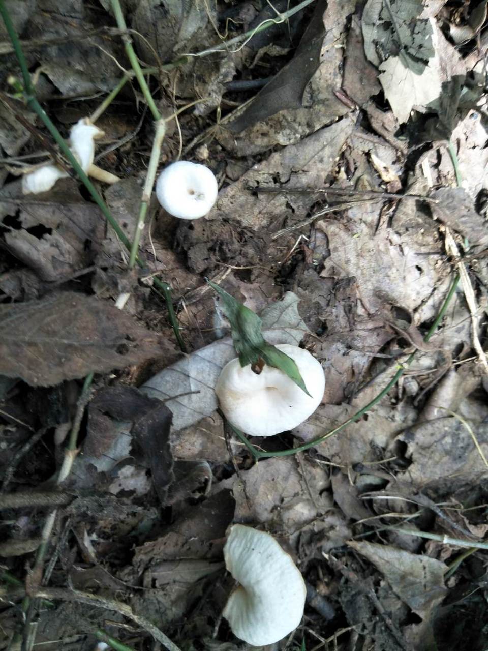 unYRXM3OrNdsvWfgvBk-z1V2LLLrNF-g47GaNKTwj017fGebMEdTXVpVOVVtBhJD