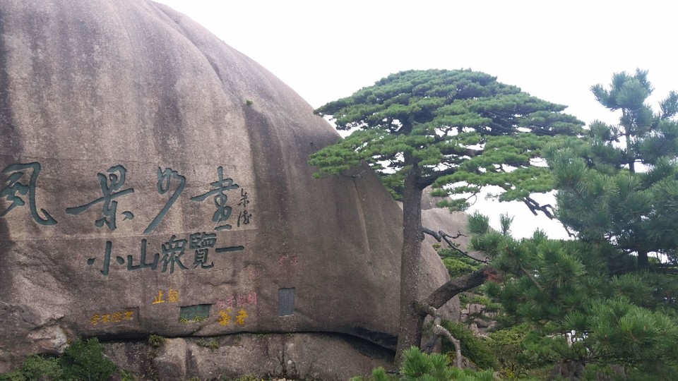 7ZUGpckU0ENTXVjaaT3zbjwqf-4hZ9nYQyGPdnDpB6x9E96xEz8iEmf-s7EpAdOp