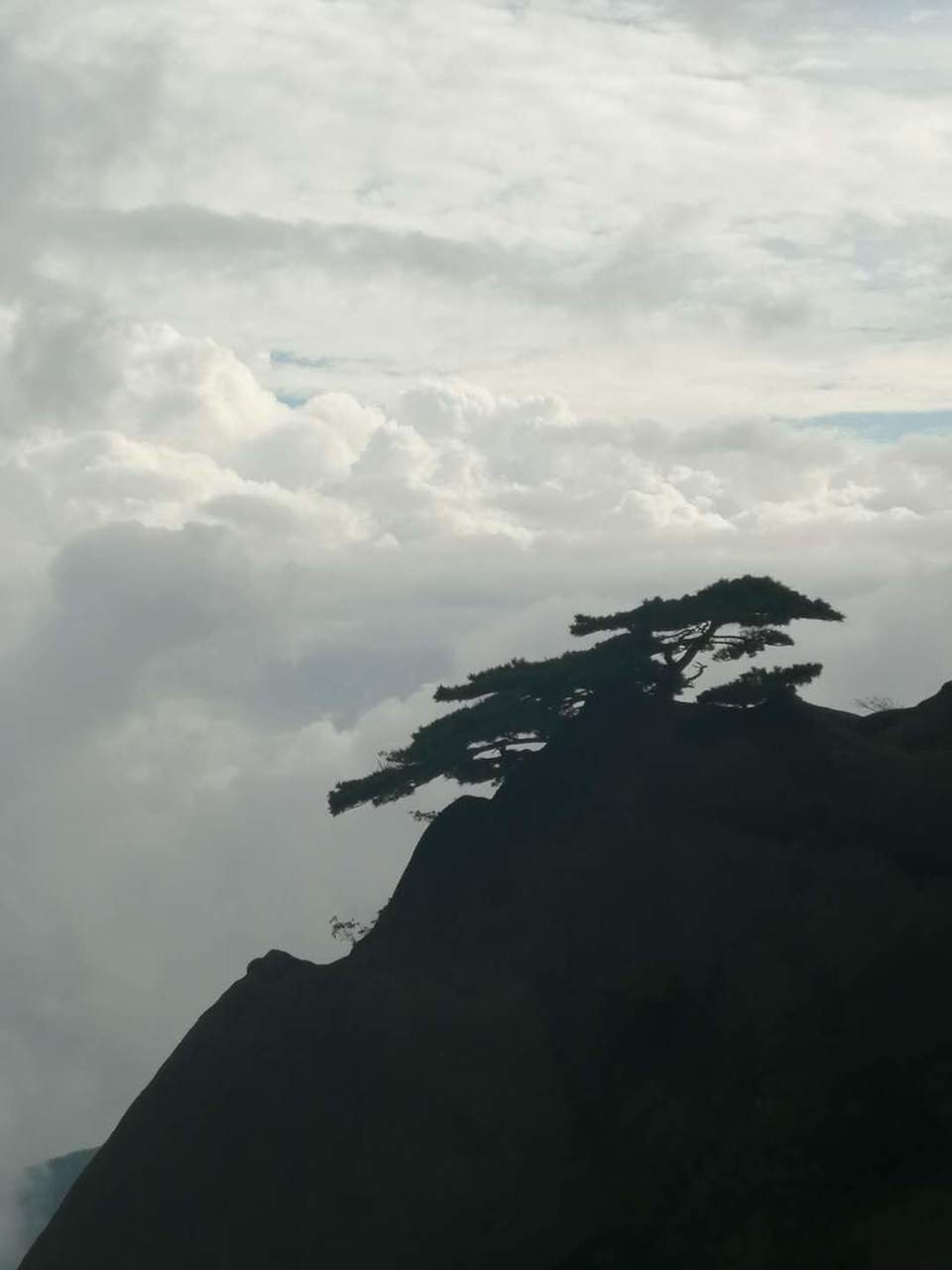 q1eIGsDJVNsARp4RYMrrvRxvuwxlEWCH6c0FavaD2XzipWmXG8wNfYDvhRlSE4XA