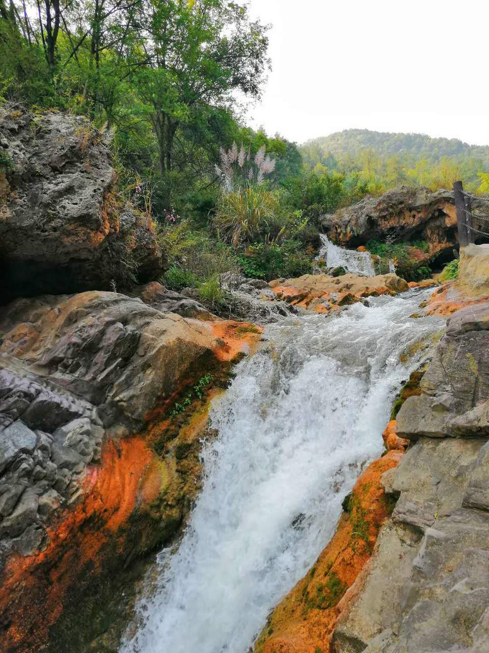 T15RJ2Vas2SCIgcixtOSZ4ZvXkOvcnYzWlZc71A-uAi9JNAIFz-wHY1C-el-YYKS