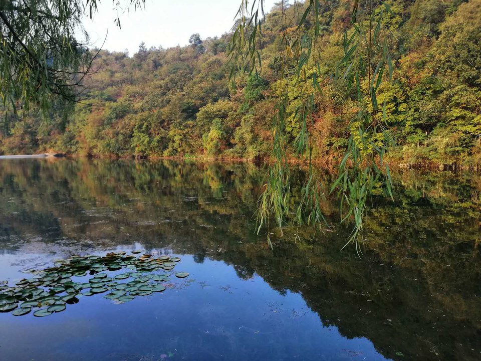 fKQYR0v0jKG5k_C4AG82OuzTZMCDzGK5A5Ylhz-6_tt1jPoGwJCyVVIcRg6FZyDZ