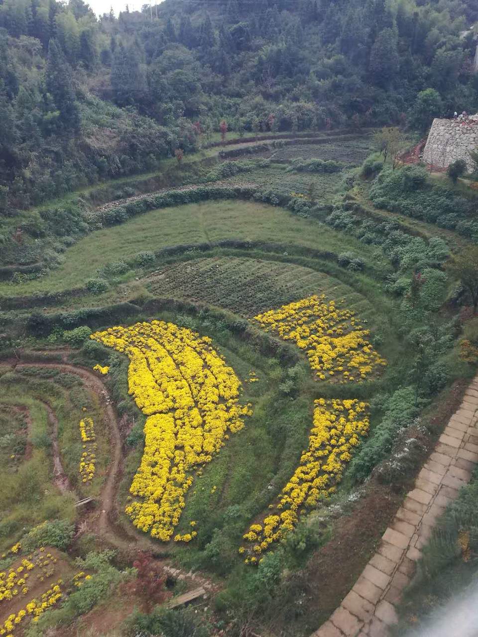 HbG2jR4meSeKTZ1YXk5d-7uThgbxxhpXjocPludKjz3W2K7_T2YA57N72NTqoTyN