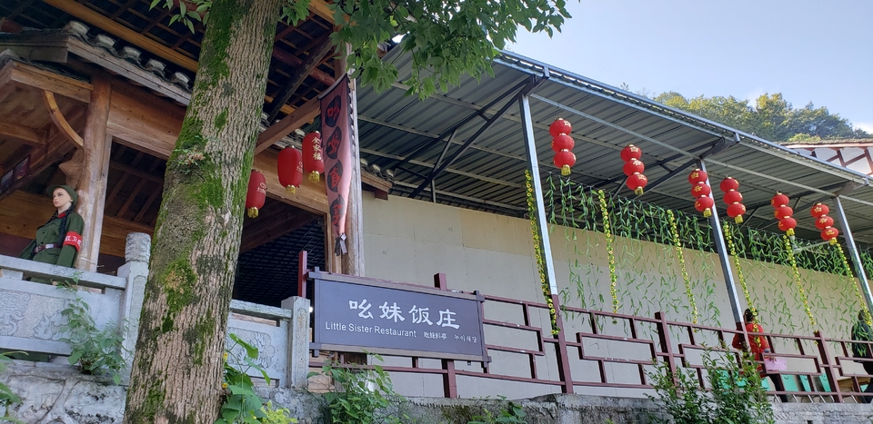 ifv9Zp8fj8pCjI0_bqctkcgFs3Ul5t6DuDMT50tfNkZzk7iT1MT54FGMsGNBQVK7