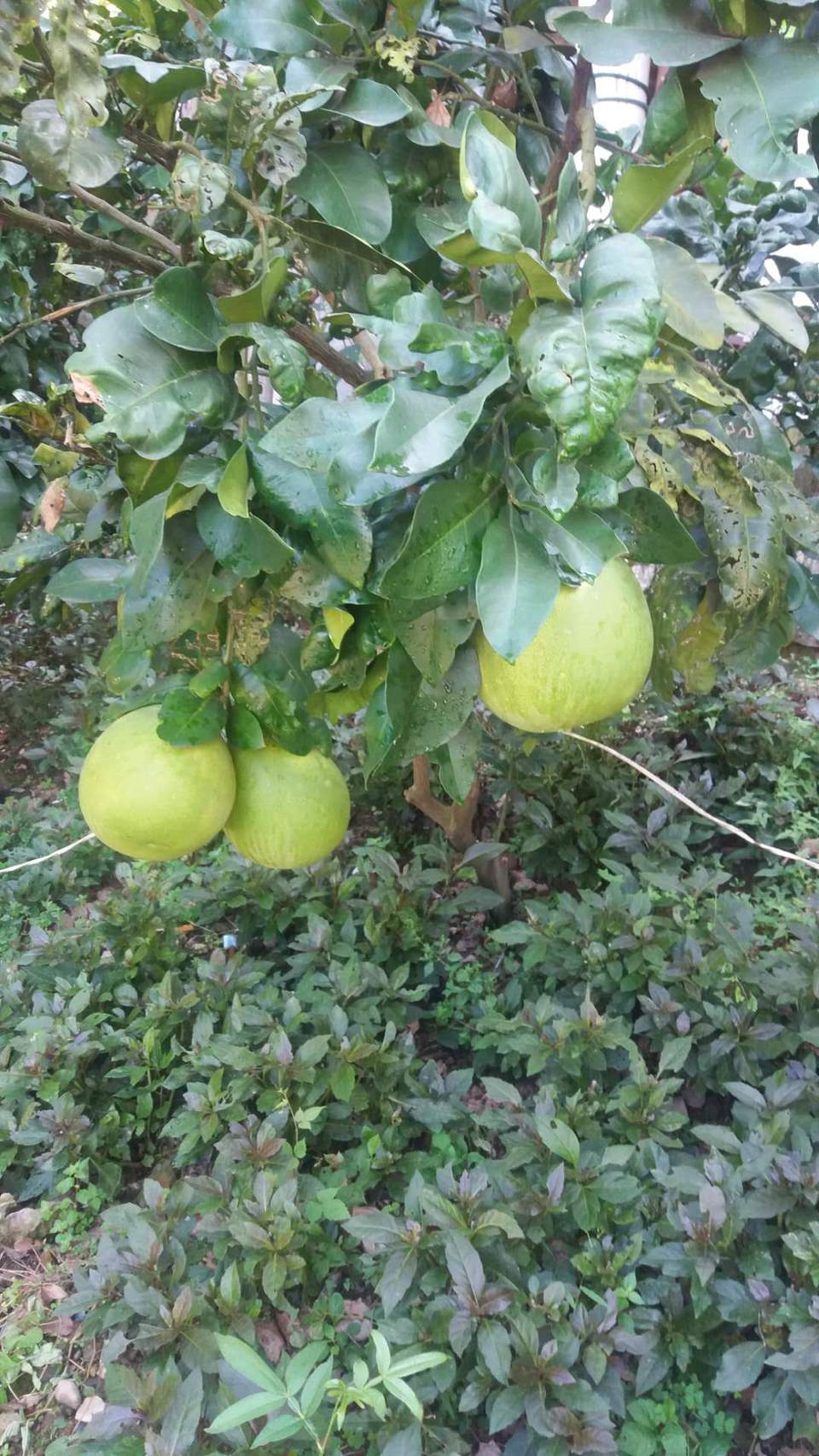 A3ivNkNiR66MdZVVkV7FkCrJdqubbOLyeJ-Mdyac16K5iRKSzEGClz6GbvVMMRhW