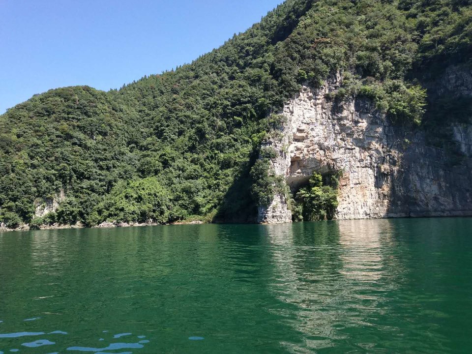 B1GBSX-F_NUm5MU_n8UQOGirTDT5_hsQdrYcPMkhTF4ZSzcQbXVLw1U0bD4E_w77