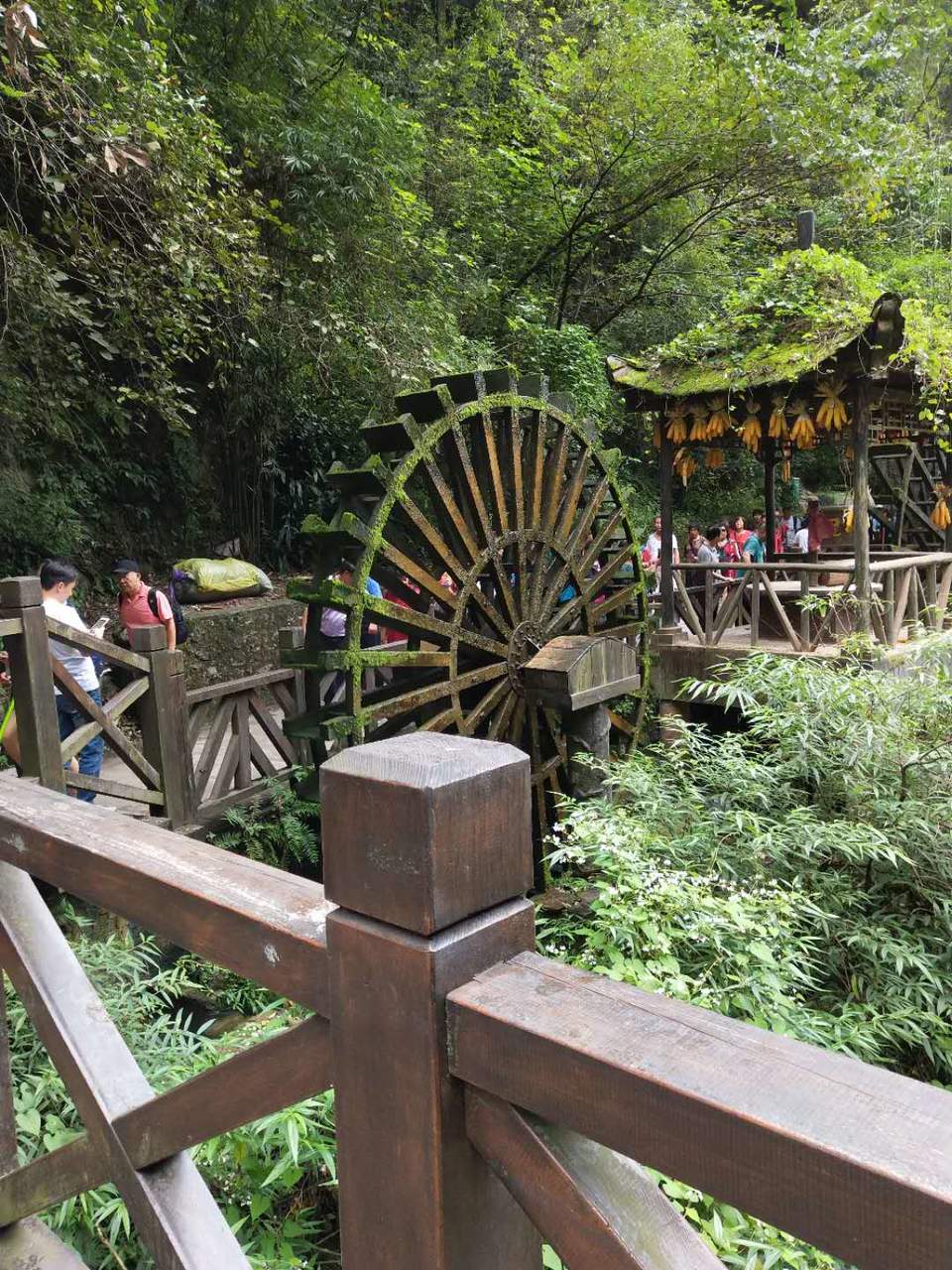 L5eJxju_pQuUEU5wlV-WTHLRf9_2NFt8leC8OZlBBjRkW0DxLVGR0CzzleVvVZJE