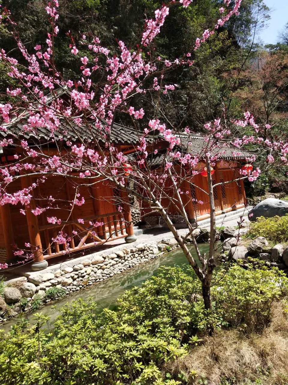 s6Kfy2Q0Vb3PvqqAuSIQHF9ADtVQzjNJDpQaR6woCcHwqoSTnbCWaO92yETn4_UY