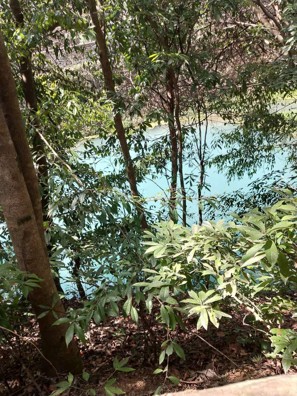 Kx6VWUMkkAT5DqMkSin4RnYd7CnSyqMJwoN_x7y4CtkFyxSOxxzTPBeHdnsYpRxe