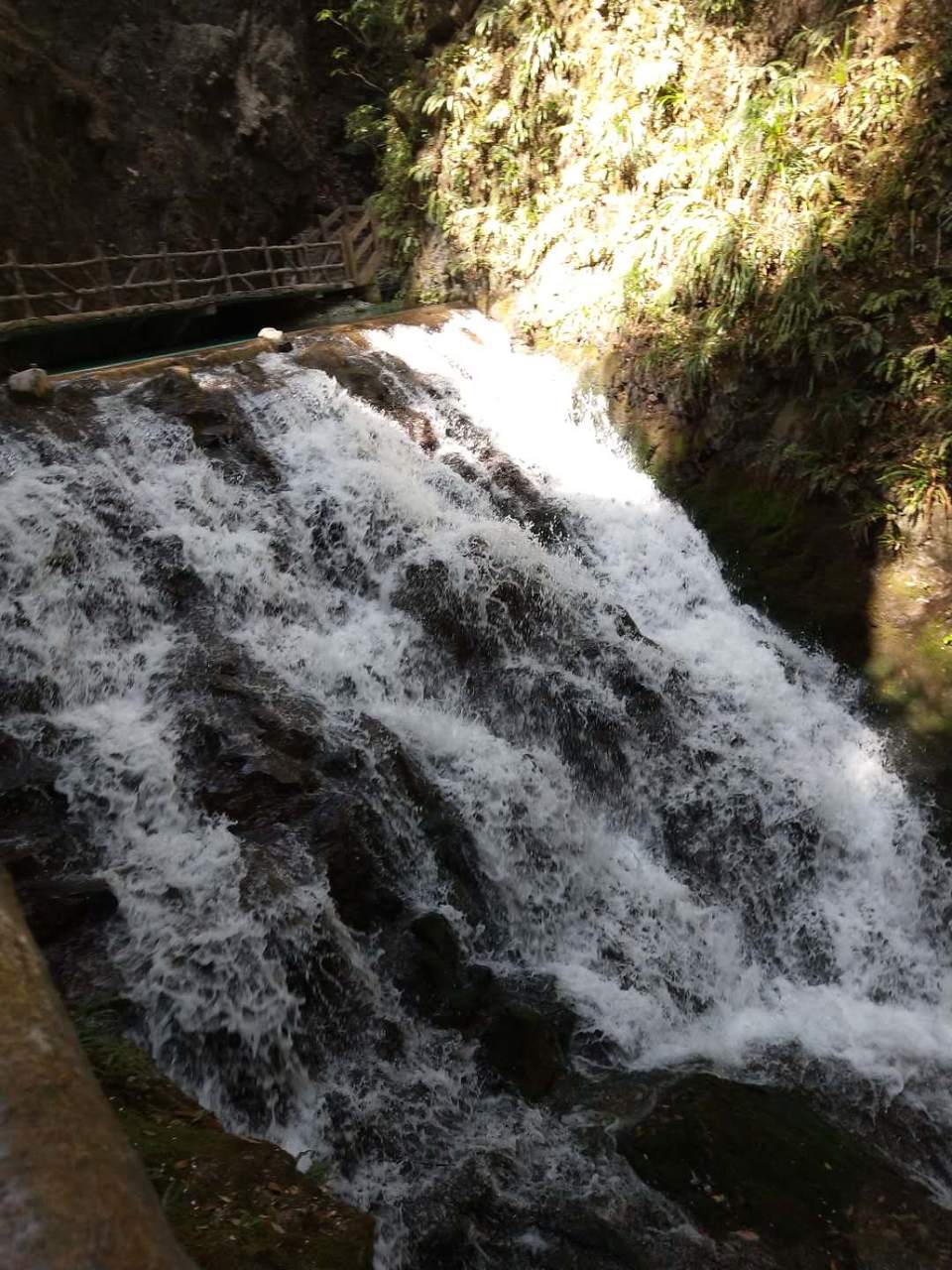 31Qb3lSIIy3xV1RLadkllzfML2HM7oUDp8jdi-VJVxi9AF4frs5z7h51DyP3Ii4f