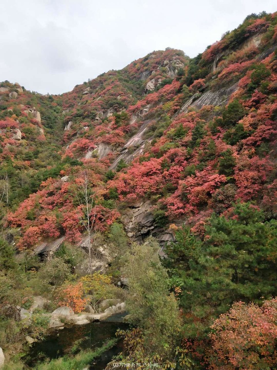 025UW6iDBpKTJmpkTjrk_f5L50AZGVrRS29TjPfOCU7kKrwbdSLhALnVS6g_kebm