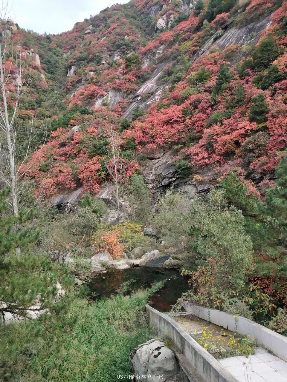 hali7NLIiL1cfX9YZbI1PWvFocfqHHdUh1QRx-dKeSUlukrWg8mwmjwOvmCSS9LY