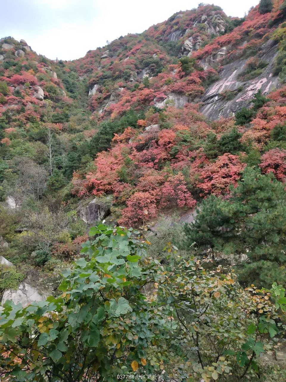 VaydYgkUbAEkW-4ouBsrEc4dZZzgYcgaoIVxjg8-R_hCuttxGxOBfW5jK_N4pPmp