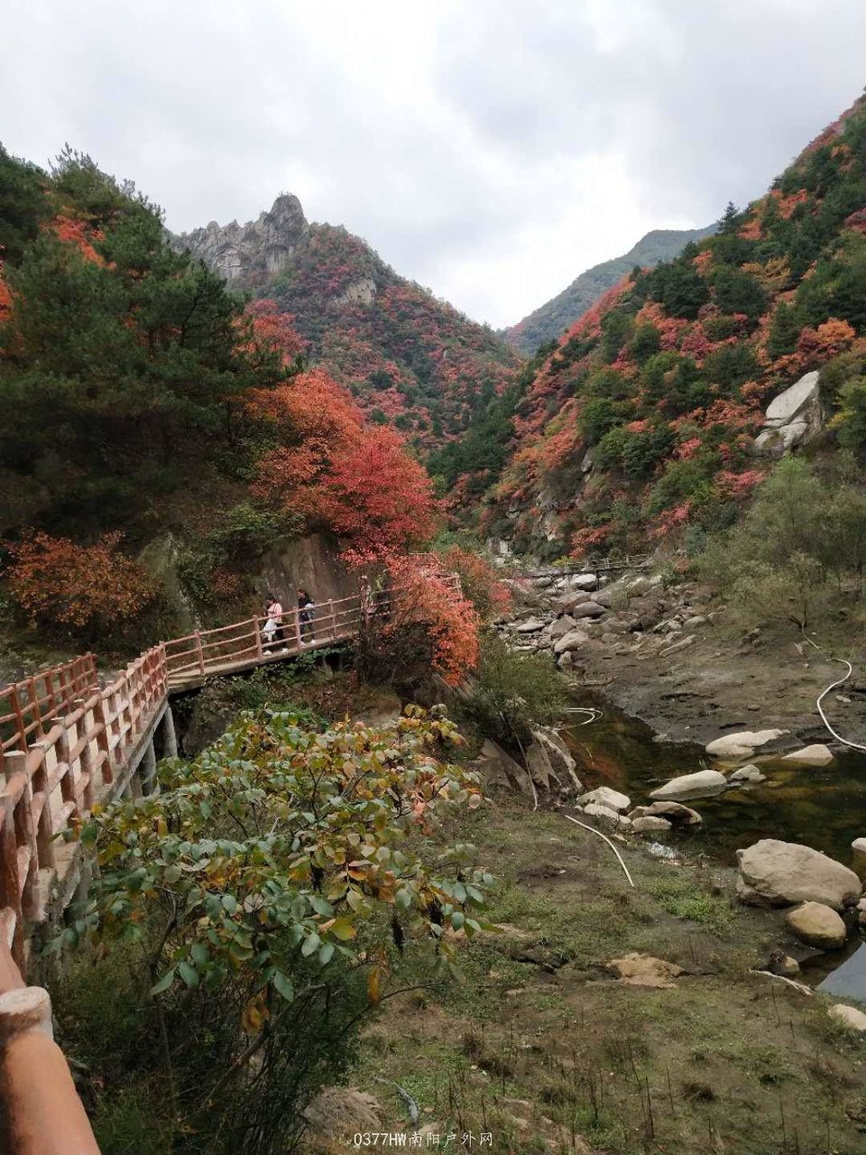 PRnsTNA_W6DkXu7FurnfbTUSbfeV9N8Bst0cq2Zpu53ChDJ5yK366bDRrAgWsDEp