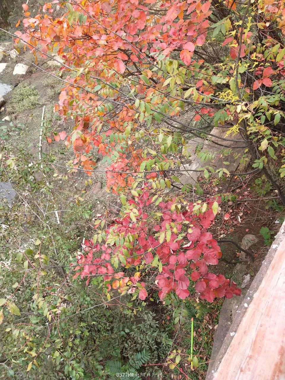 pyIk48sFsxzKZnfYgctNPE96mS2e9mFsWhNZblb1wxCqM5Qze8Lz4EHh1KwBHlZm