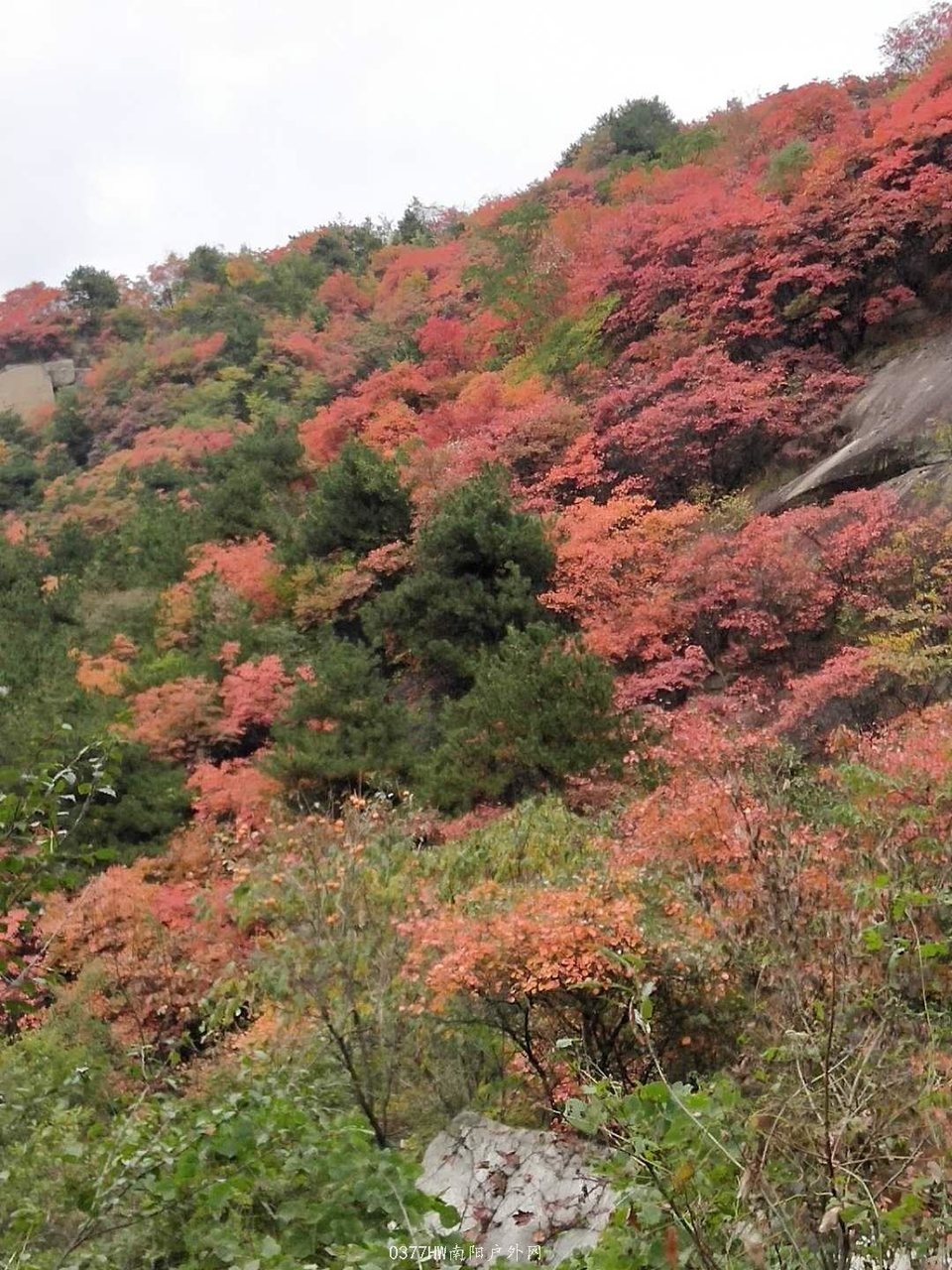 xmTPi7VjuqLjqNcevmvWfzezIT5Zq1KWM8Ox08KowDIyuTs_LdoHIcZiXc6STofR