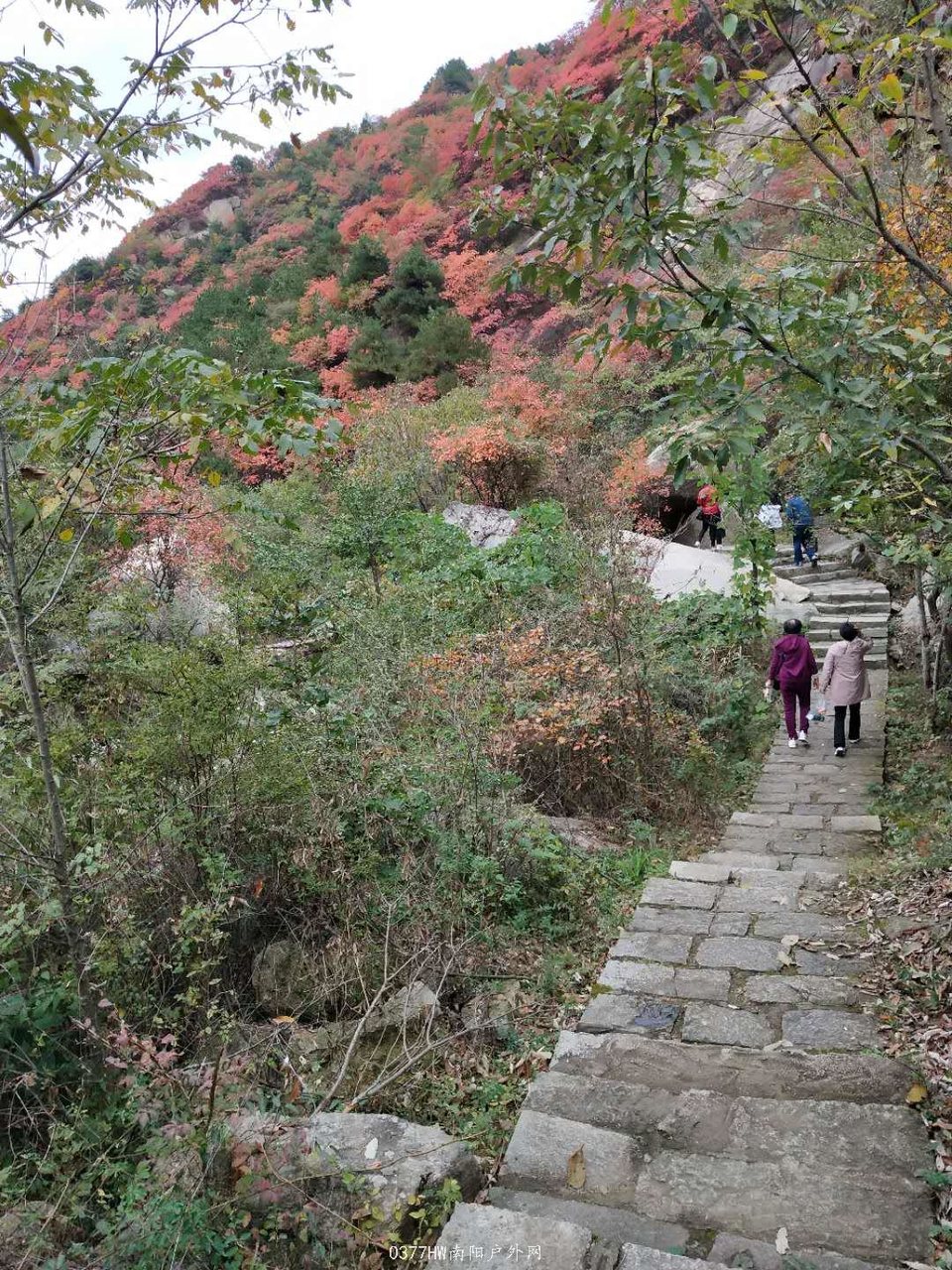 hUURdL5ORYmR0XyEDRvpw31-Jkv3_NfDu1073SSWVuegrXoGyULLWeveGM7Iit-W