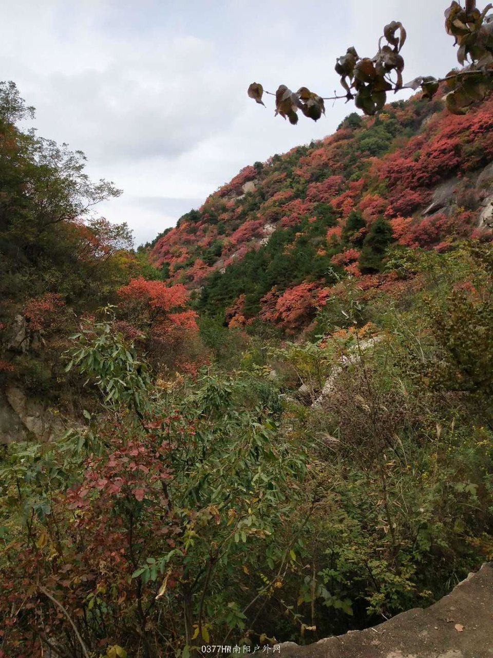 D6YU90Cv4EAbmey6XMgndnj3xWY5trKtdgVkIYurfF4IF95nhK-oKpdLP1XzyuqU