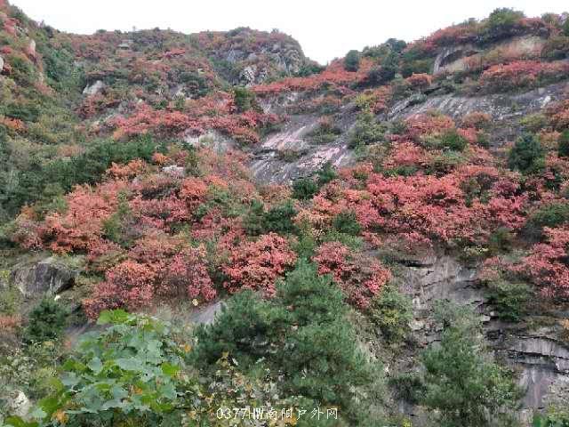 UeTkZgzGAX_5bmJO1jq9CzzH99KfapkKwLKkOGBUN68893Bz9wHlboGKxxJNCv7I