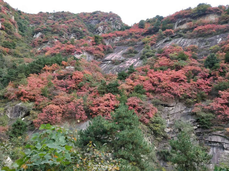 GiYSK-Q8sAbGLAyAiu43ObmIUrg3NIoIzjNtqCFJSi52zyH68lI1DR9ru7RU2GZG