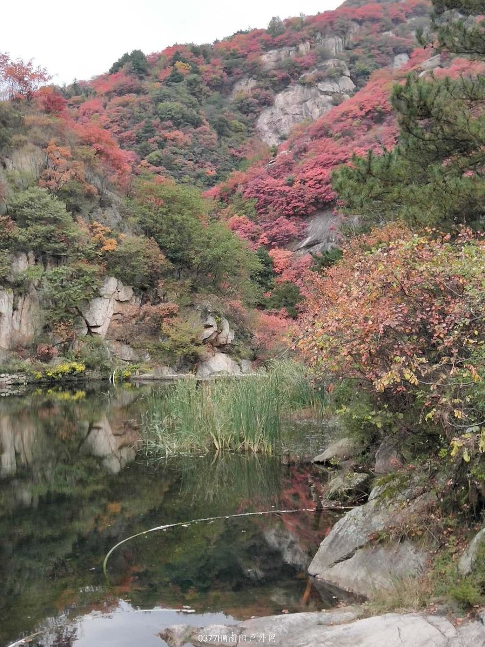 Zi031dDzUbCaUY2O9ymhW9hX3YjTw_qEv1QfjwkuNkIgQZlowwN0ncNA42BFFc_y