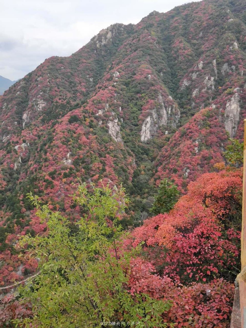 3LQwgwNh4YQSkT1kPNAbs11GZ7YlMm_ZmsdnyGbO0nL5DM91mmgyYlX04_AzOzNF