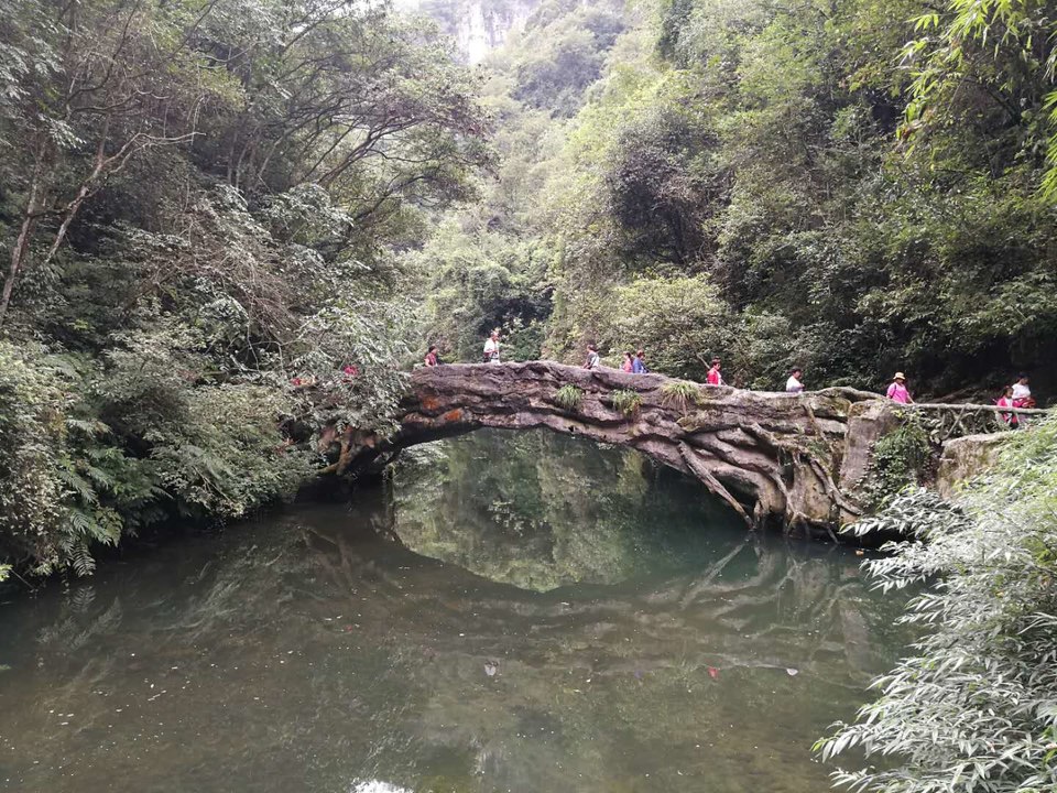 0SZCl7D7xTGPIzXZ7zGO8Mwvb4kGznxo63C1P3DEwoOd-AcMezyJEKYwZO6Uf2h8