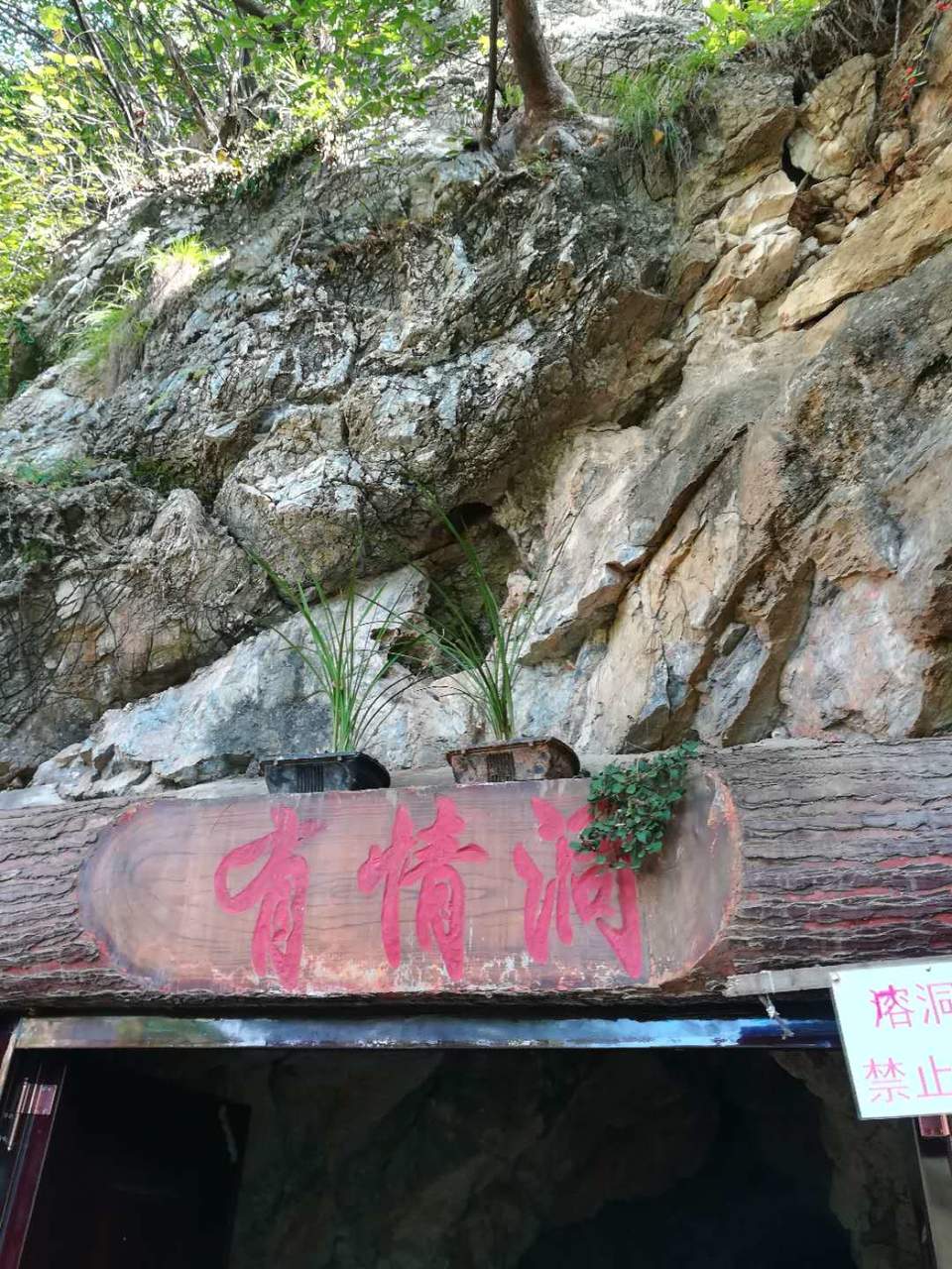 TwwDquIUY8Y3A43LXvkzAYCkTj4MJszcX2W04fQ0SoMAecIeBkM02o--09dDPLys