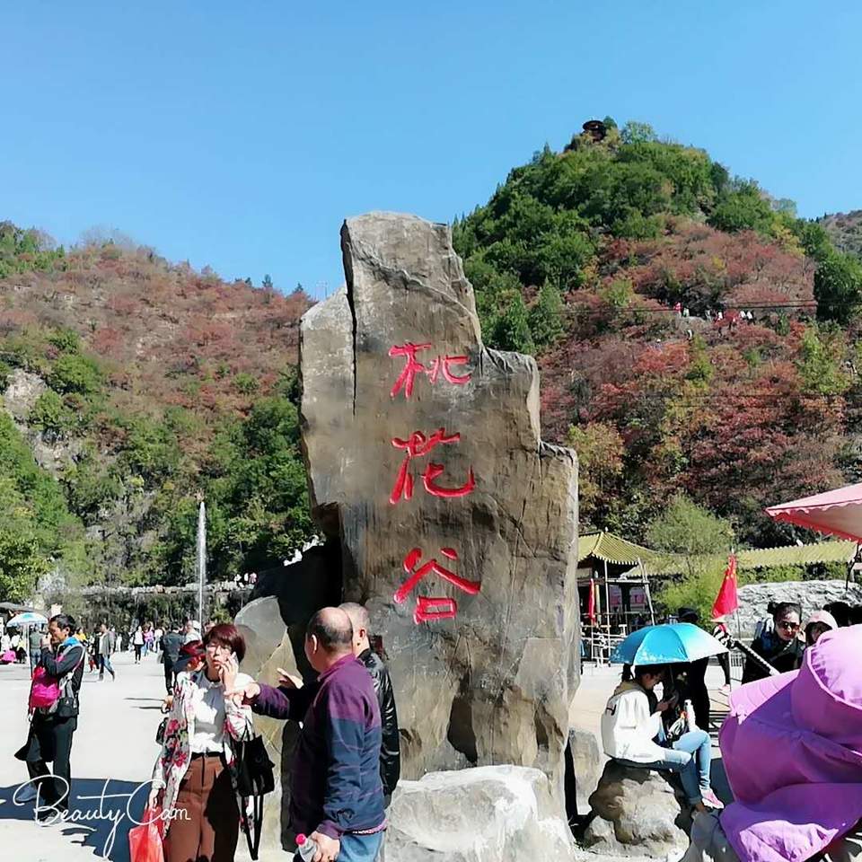 o06mKK7Bwwv_GruNR8UxzAQ30JF69WaRFqeb7knM_Gk-vsEtyfUTgeLp5Bb_ubdF