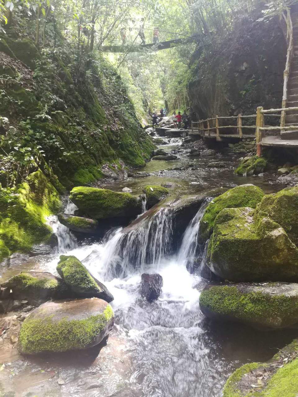 rY8DBCBt4SfY8dUecDNl6Ni0M6Et2zRZlRh0YVpm3Y0zbjWsagFt1W2udOmu29MF