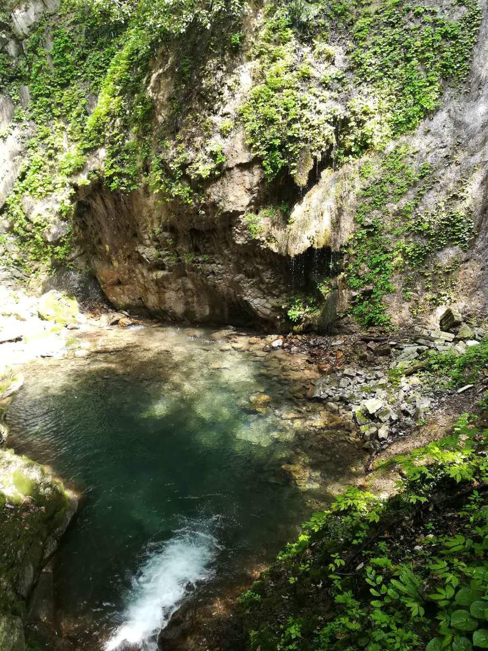 FrslpLOaP0K0pTC0elP3xIC8PKY5lkTjHDAxATYjmid5sXGrImQ30AkReaKX-xpj