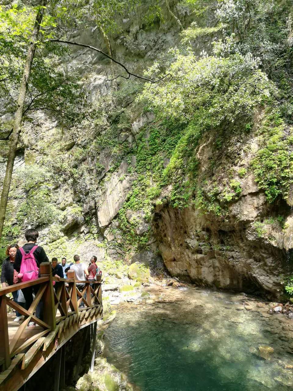 8LDDFmGD7805O43GDmdeuNb5zHQSK9JE9U9OHg2tZEUWjsVQg_gKPKFUNH2eYueu