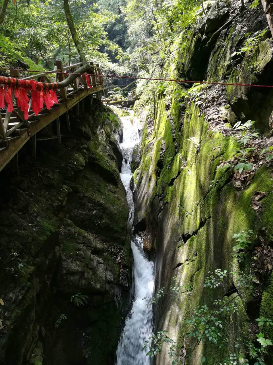 AvgfSliPkwUww0iYuvMWXOQHDs0-VojM3TGLQFzeZaYW_p65unDVjd2dHZf5JhfZ