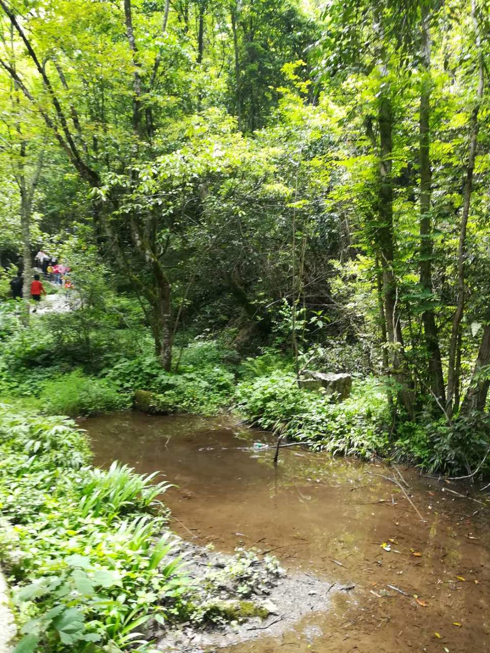 tB6jh0cp3z2LaavpqV11mh0eUYGD5WCJSfFDOj5M9exO_jMWeoEjtI00V29ErnLO