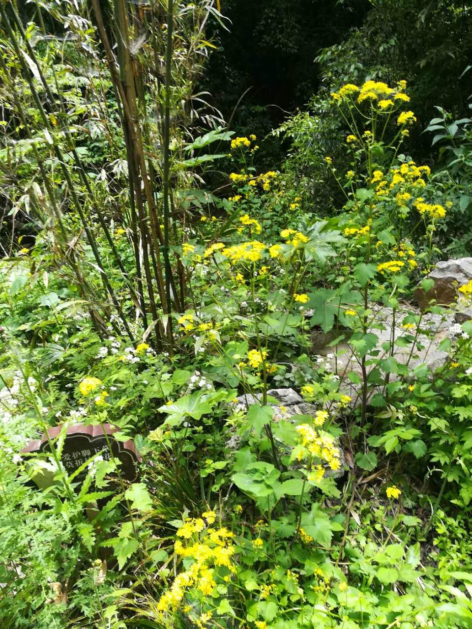 meAadIQrlma0yPKPFANB0JSsdG8PEdxJg6mWG9q2K0ZQ_GnrIND7jLNM-DQh4fhX