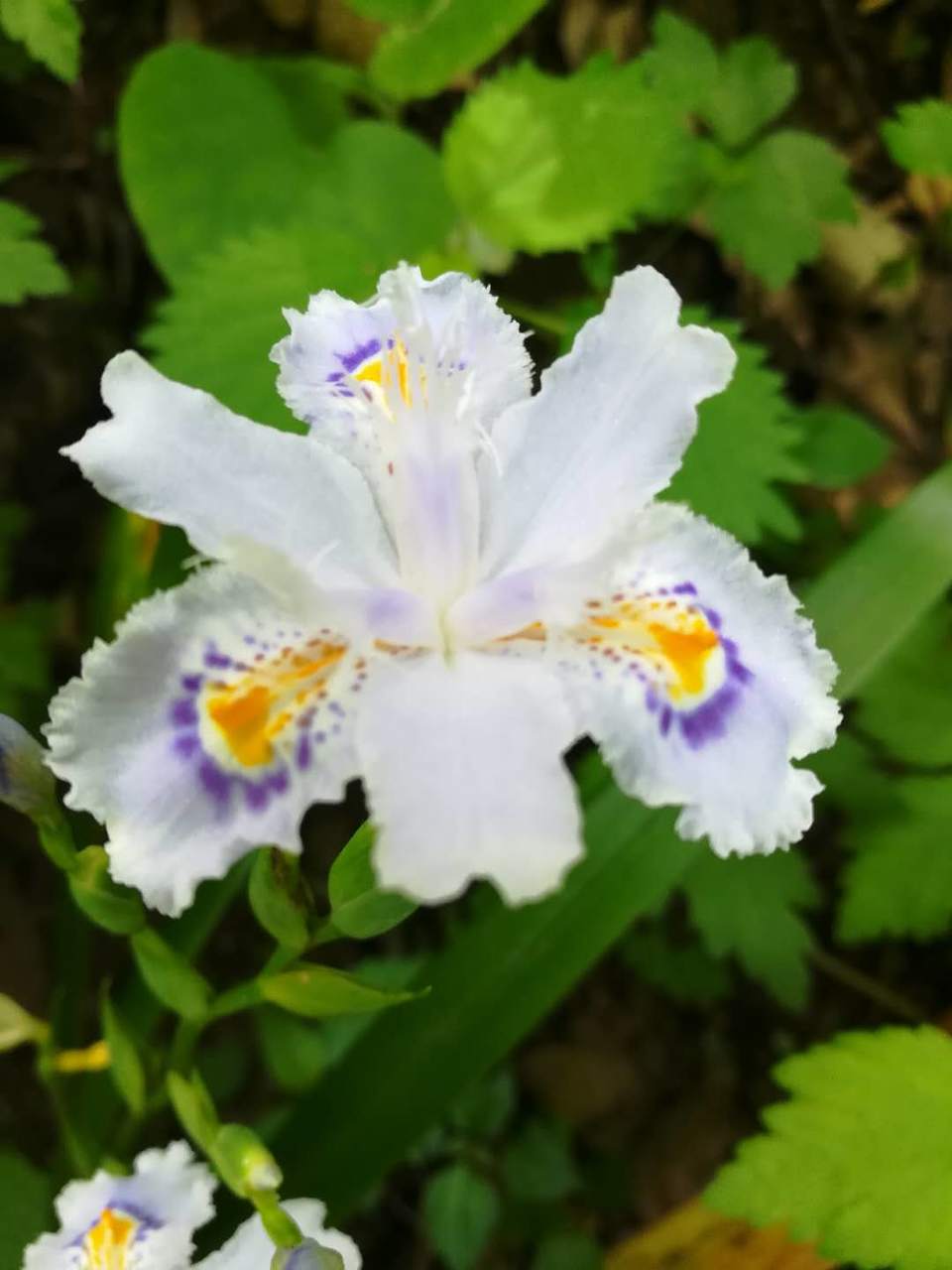 5cU91mLKJ0jYQtWEmbpitFWPymoQ0hphpwSqzFeUj1jpGX9NsSE0KaJzyfC3Z6KD