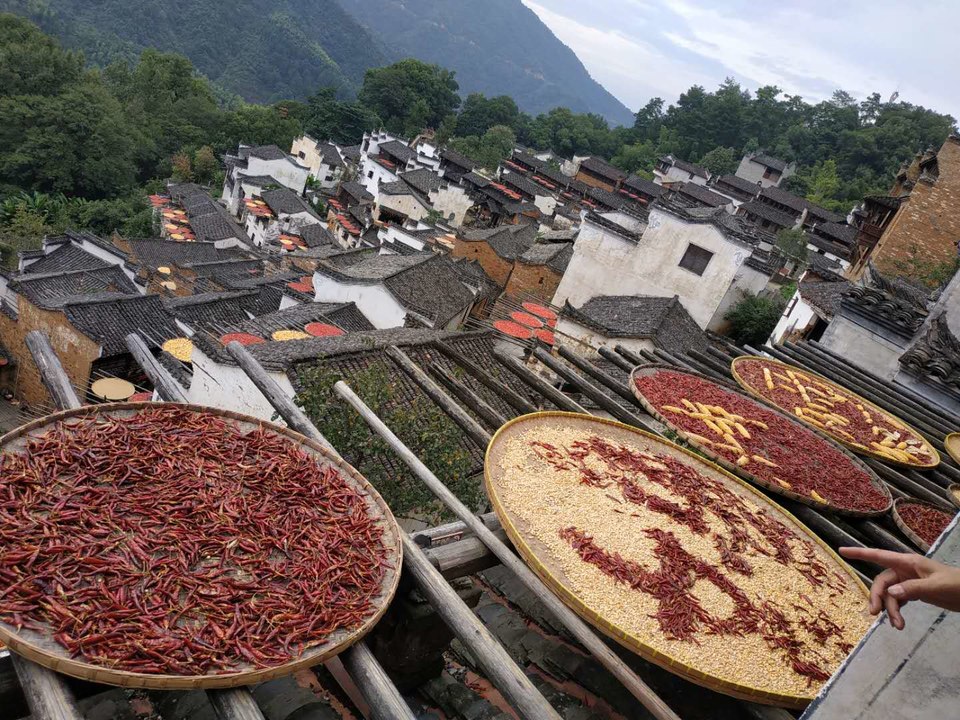 hKDYaYlqgmE76UVou5iCpx6EYbw5LYxzx7a3T0HDHC1mTh5P1qRZrmF91HnU8-EU