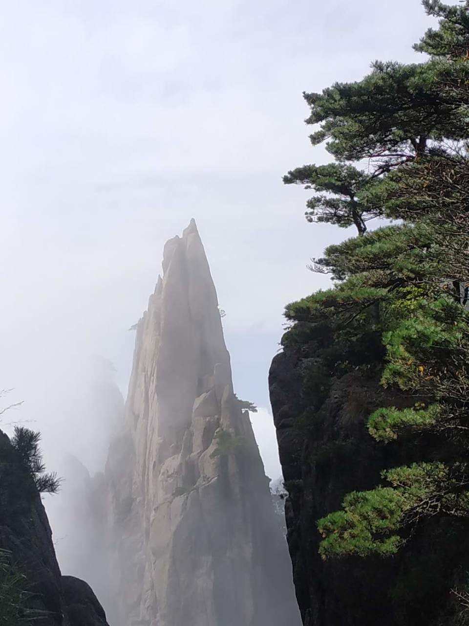 j7t7tPcaMn8WL4ooMdFxS1k905HCFJSQJaXCYReD0l8zvaIViKXJHQIR3TFi2uwP