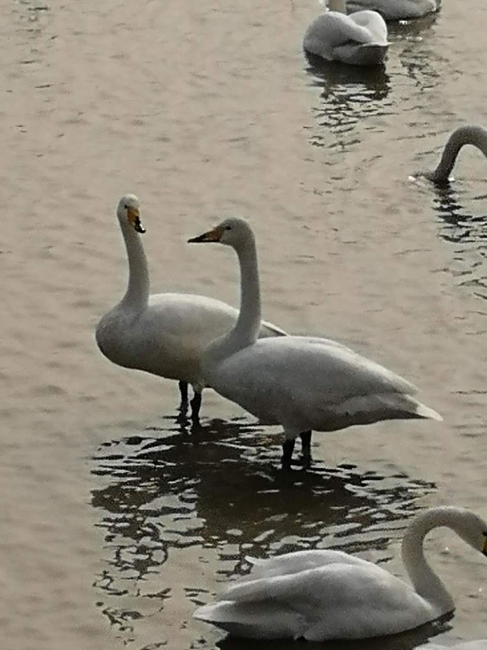 lK1vfKu0vg6loVNRK4oWo--aGbpXpJcuwiHuWD1XgQ9K3NRvGXOsF82W_WeDrS7H