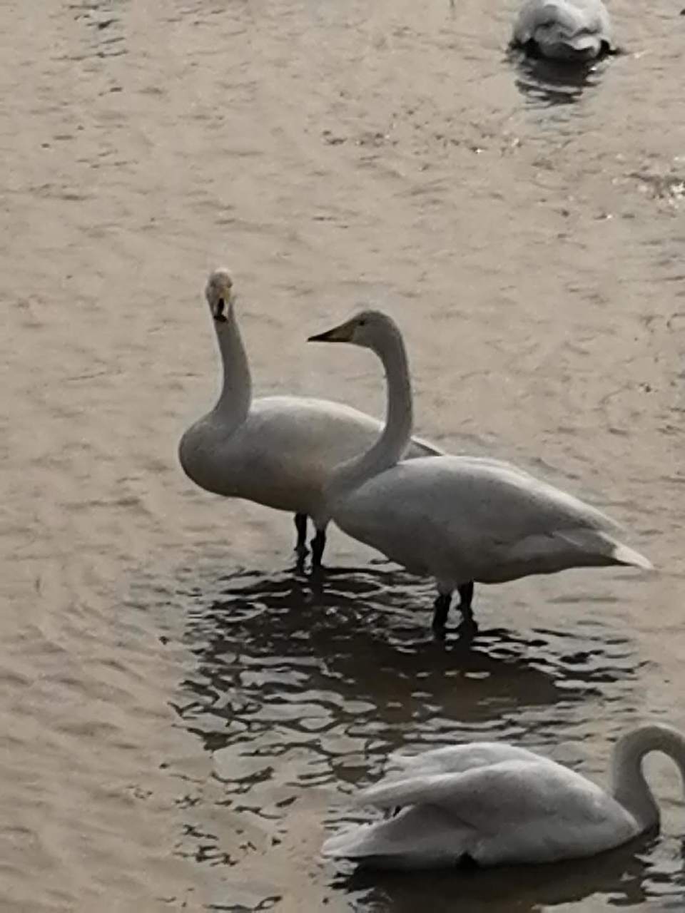 7gIosahVztXDbojL-UnPNio3C5CErI2a6kmwa41pPr8MGQcPHiJEIJGWaA20TTNo