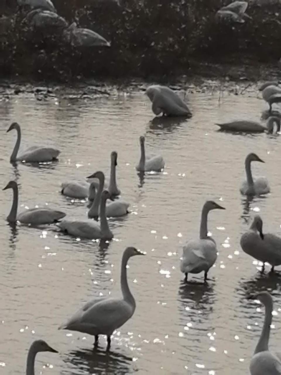 qZ60thBHvLE0XSBrl_XM-CY8NxFrnDHxEiqAbyLcBoih2GokBzajf0irQ4R-DkOq