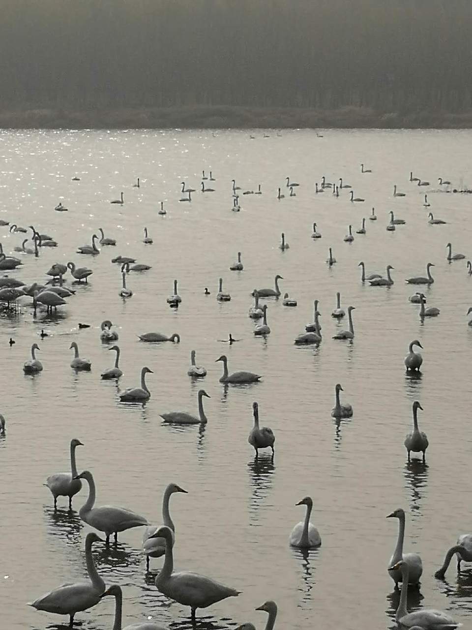 euLS55efBOfHSkdIBVQ1k5d5bCtlUjjj4IkSwJvggYuoDLRLuA61aIpl16qPzlF-