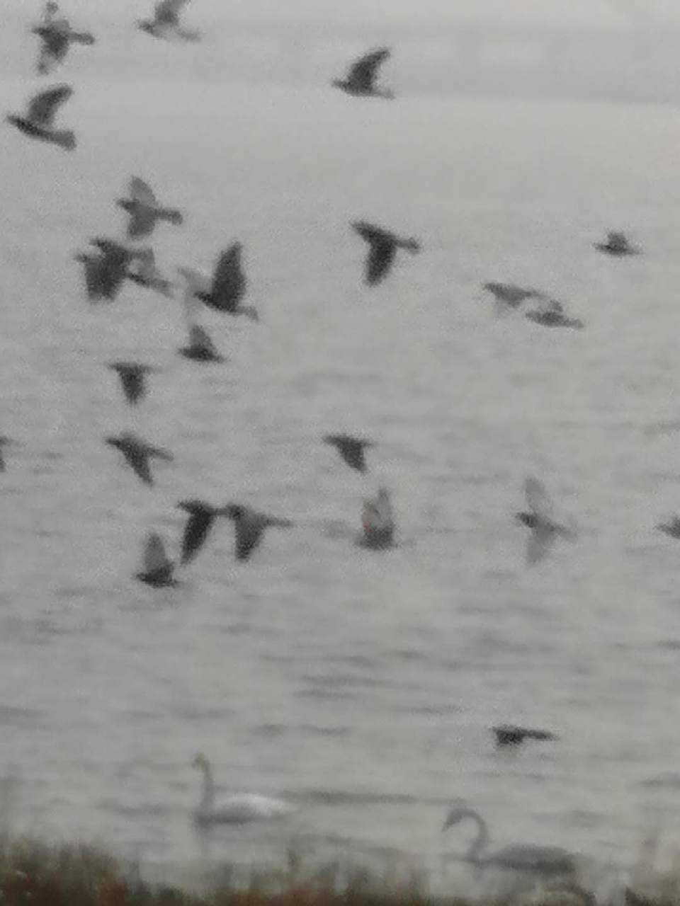 -qMHN8WvFE_PHYOaK_JucZp4_M01t7H2EGjRvTZPvIAYj5uG4-EZRkNJjx95Bu7T